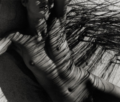 shadows07