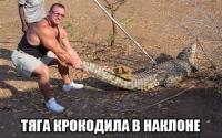post-5485-0-01548300-1419357397_thumb.jpg