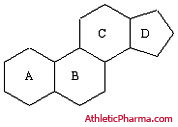 Основа структуры стероидов